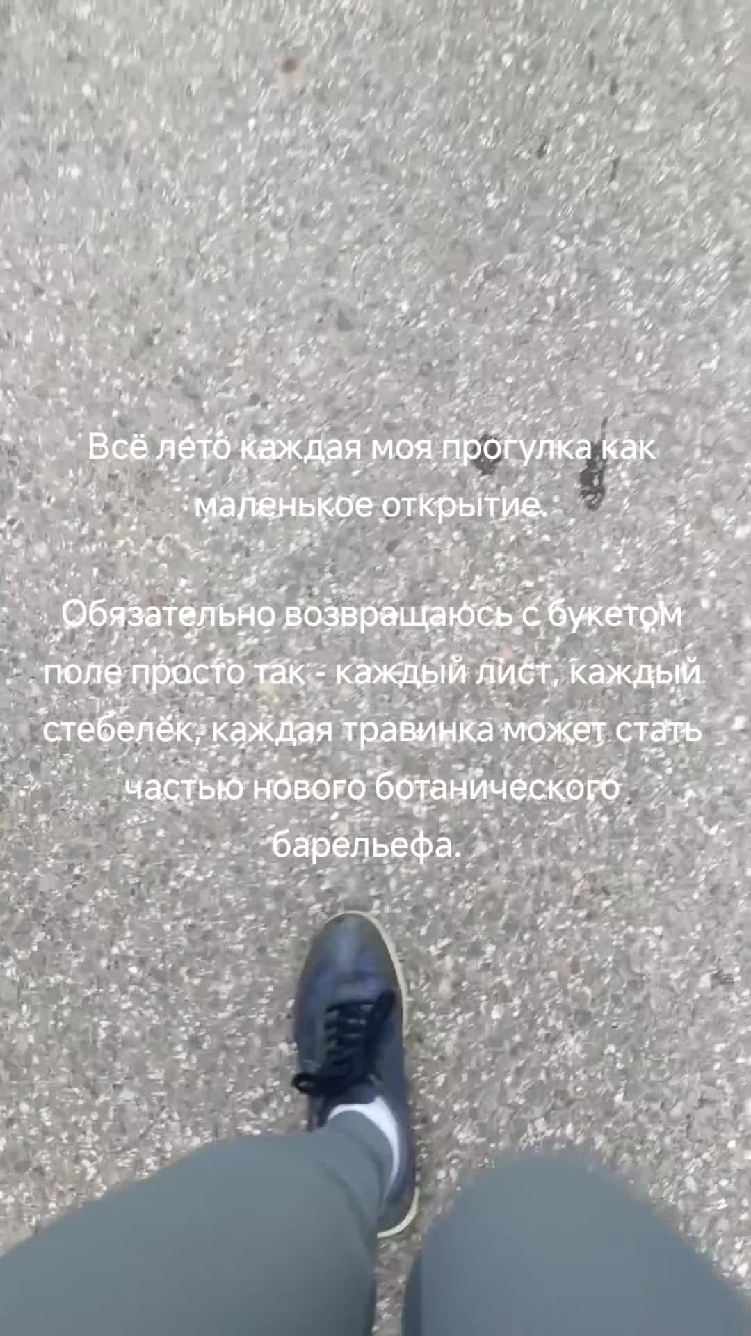 @Светлая_Арт