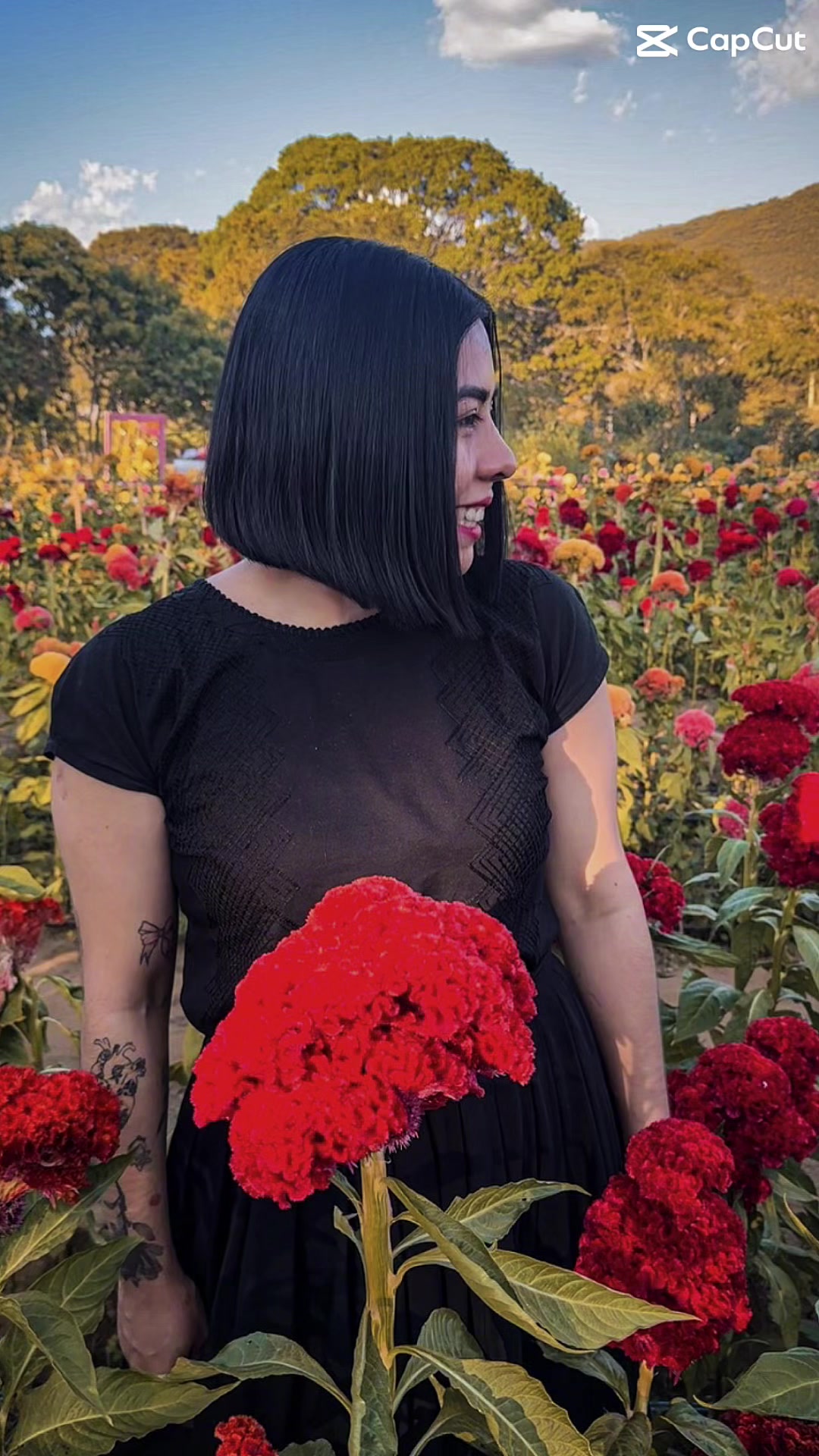 @Areli Arango