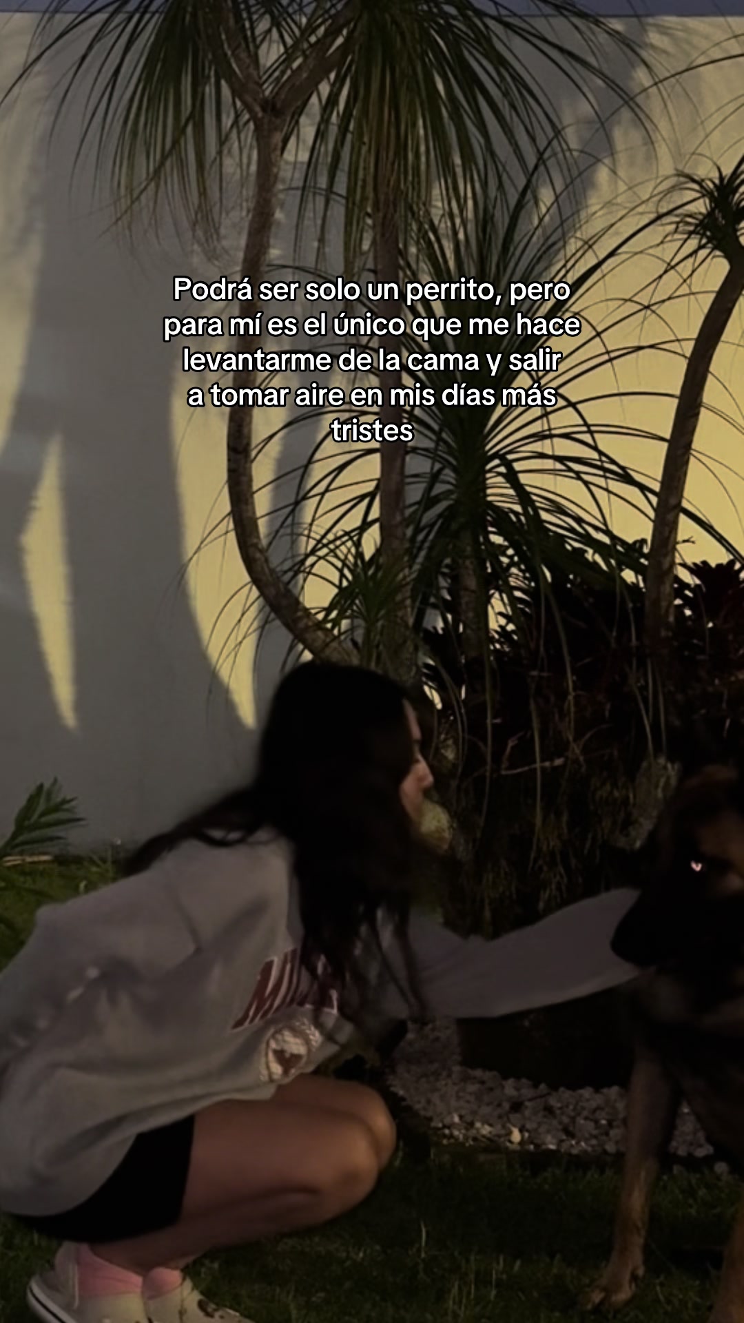 @saharmohajeriiii