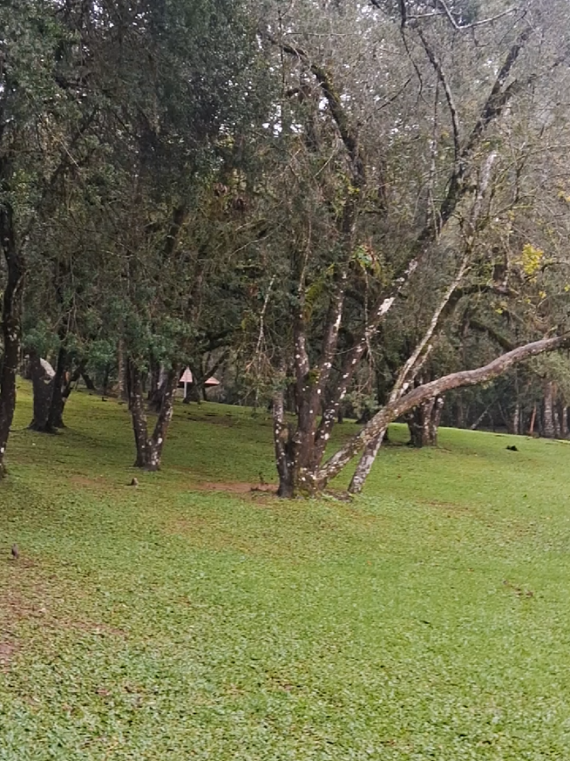 @Dona Cida, Pé na Estrada
