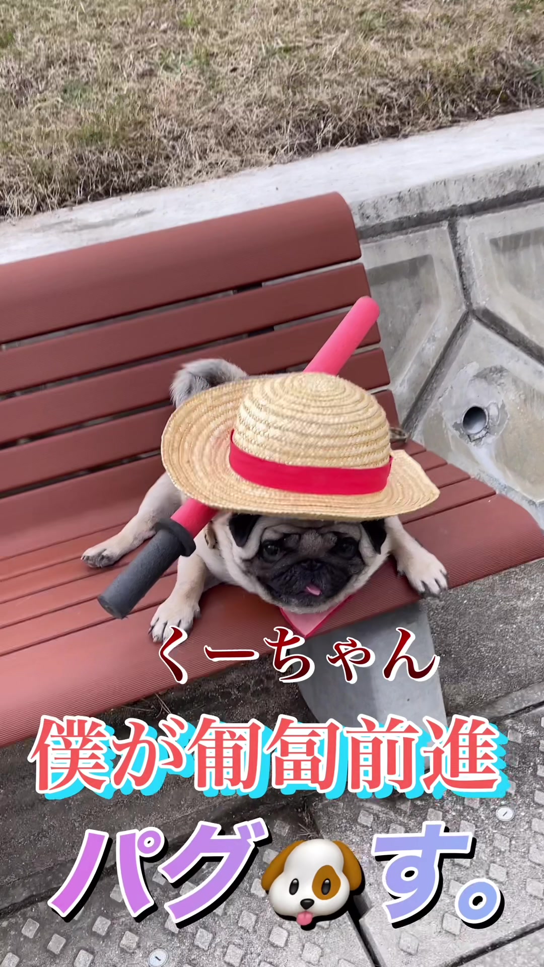 @kksuke