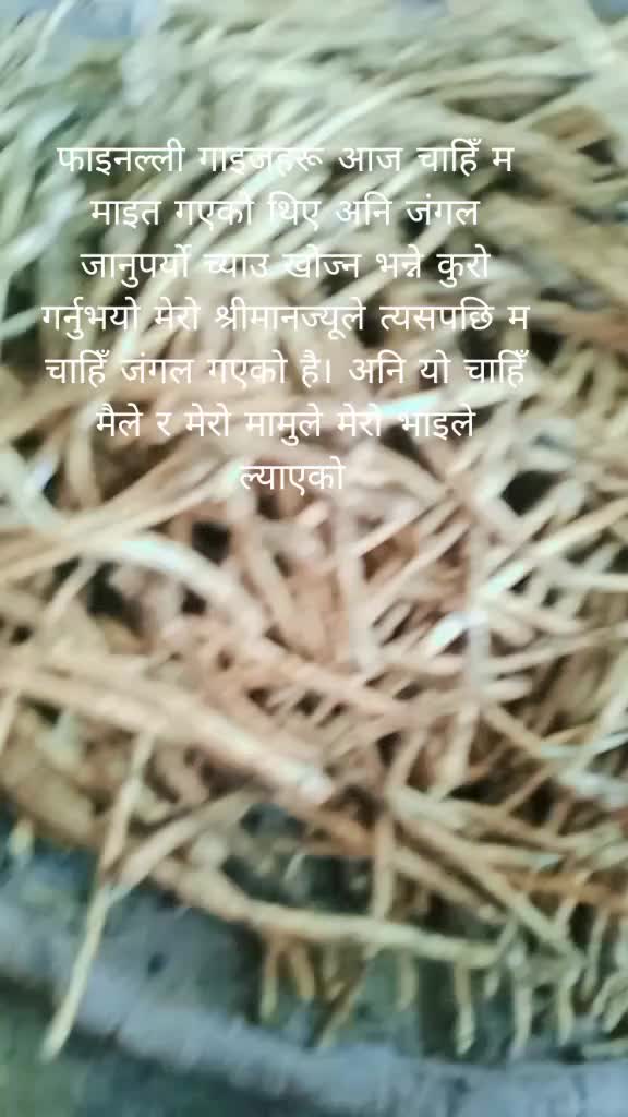 @Nimisha Nepali