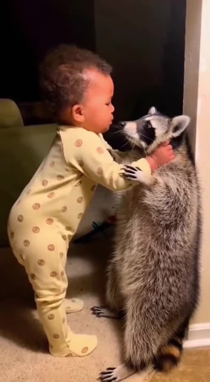 @petsmadnesstv