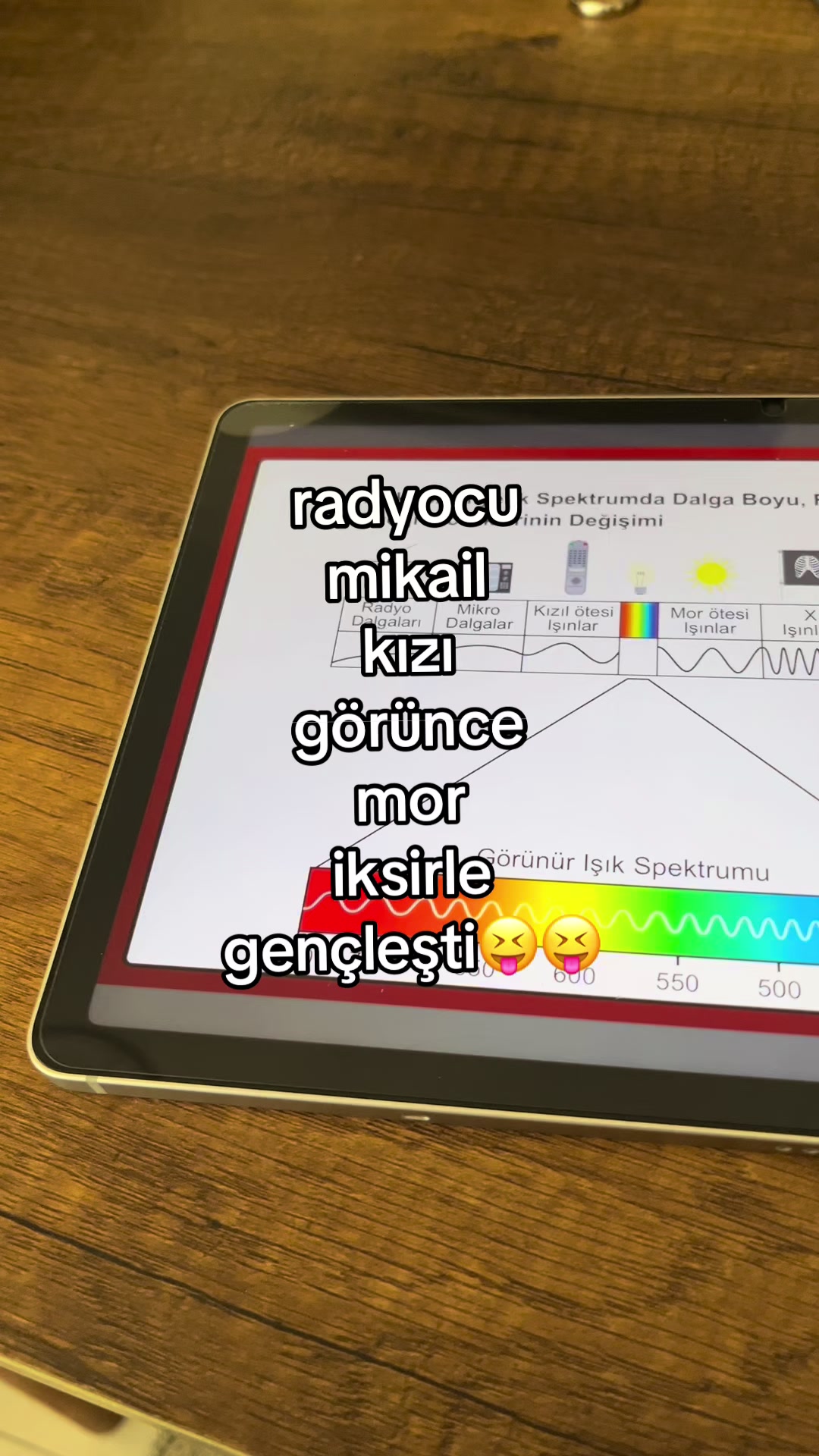 @apotemiintegralfasikülü