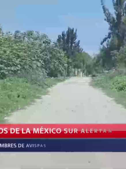 @Meganoticias Tehuac&aacute;n