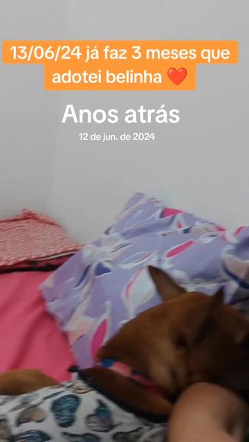 @Belinha e tiamara