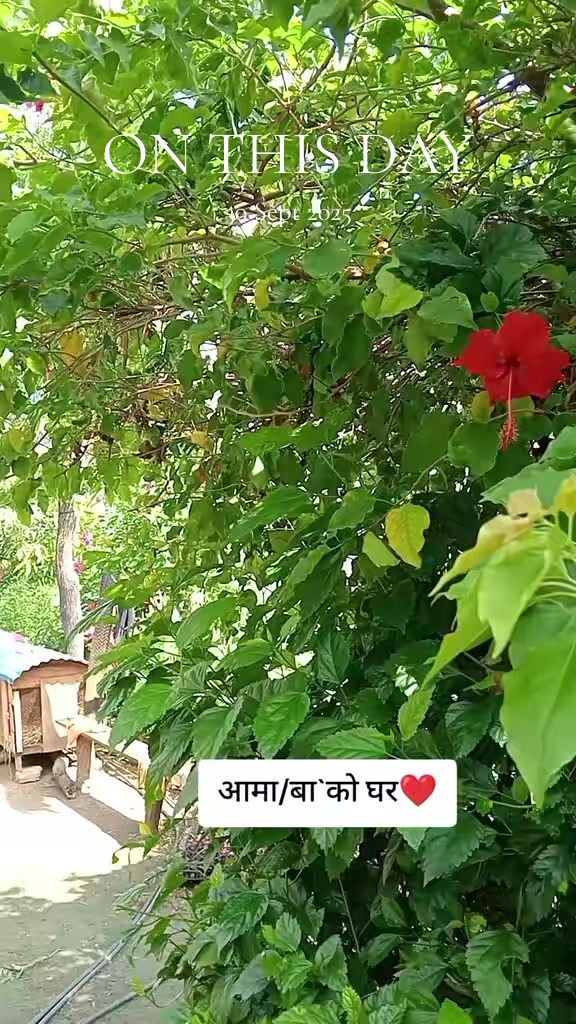 @बस्नेत काजी👨&zwj;💻🇳🇵🇳🇵