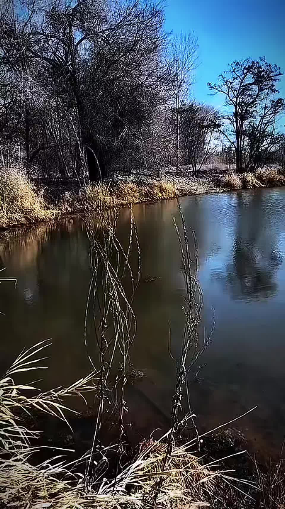 @Peaceful Earth
