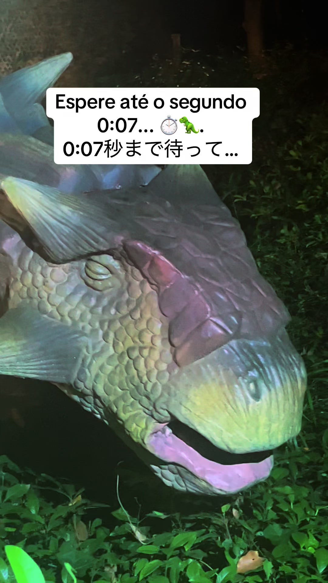 @Miriam Takehara