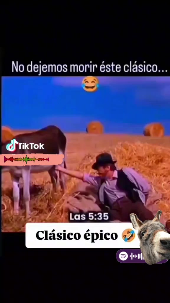 @Albert L