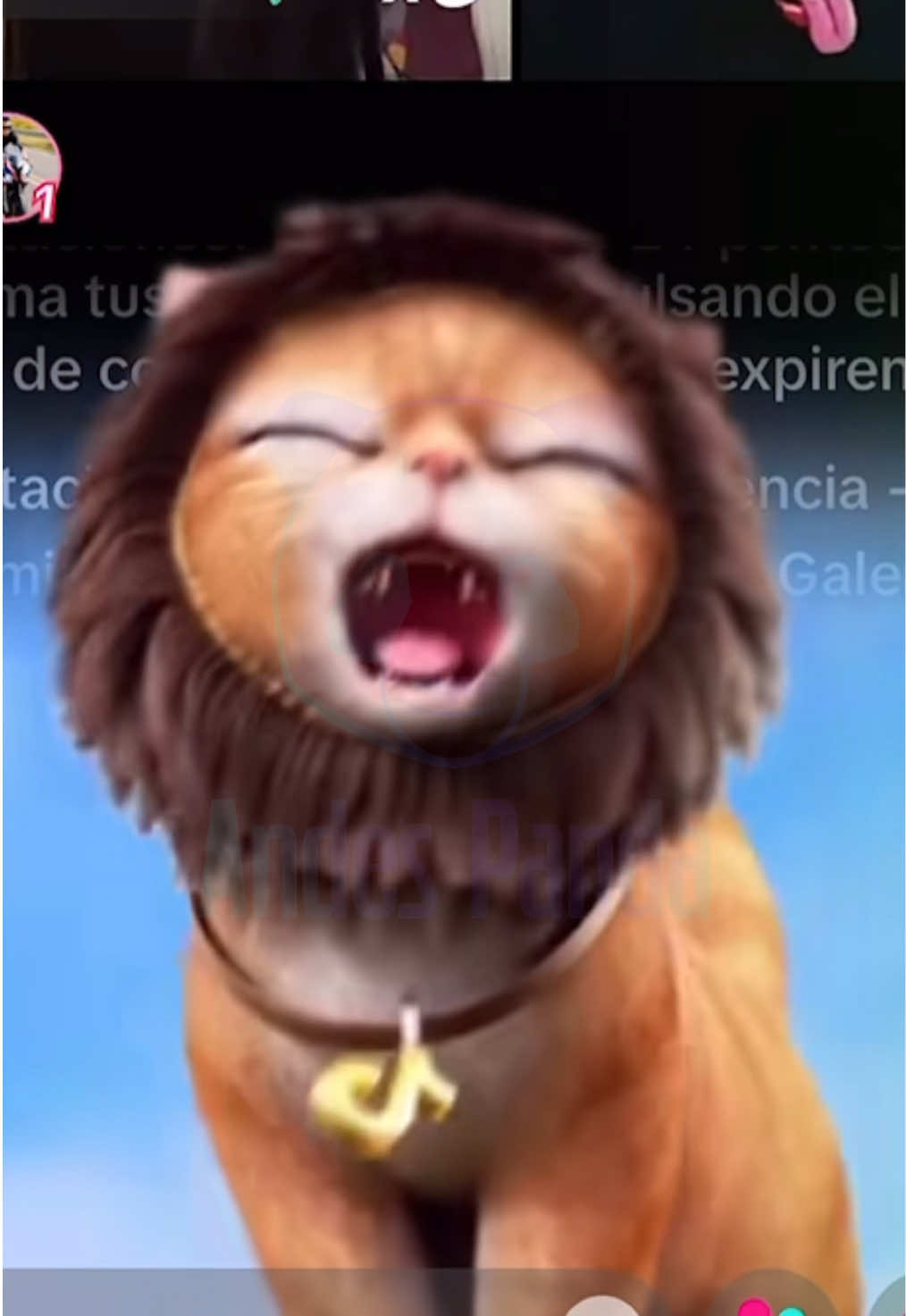 @Joaquín - Andes Panda 🐼