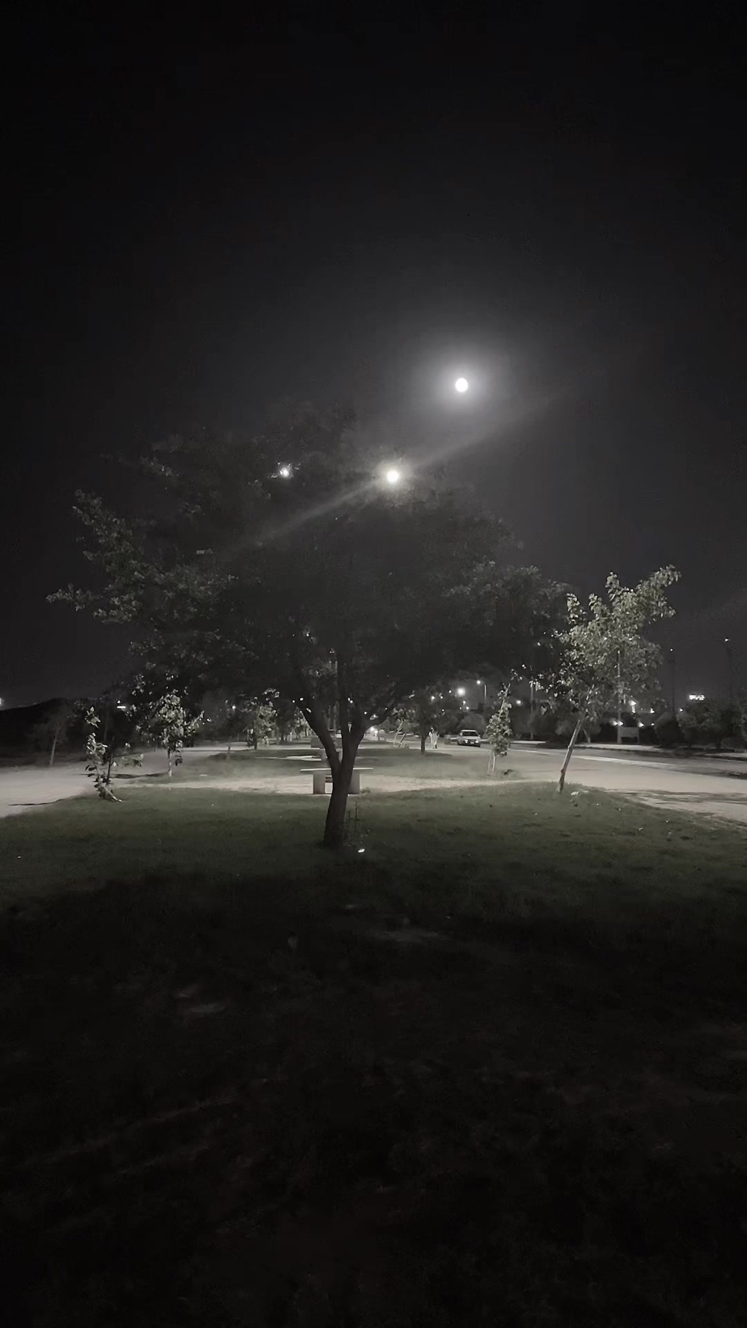 @ألأدميــــرال 𝐌𝐑-𝐗