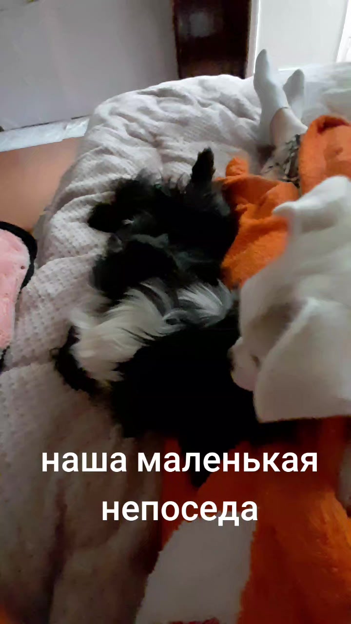 @Жужа