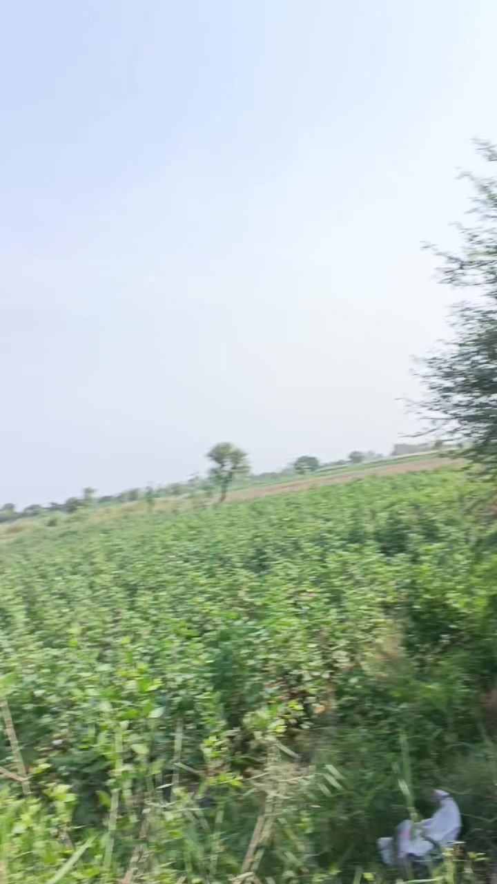 @Mukesh kumar kolhi