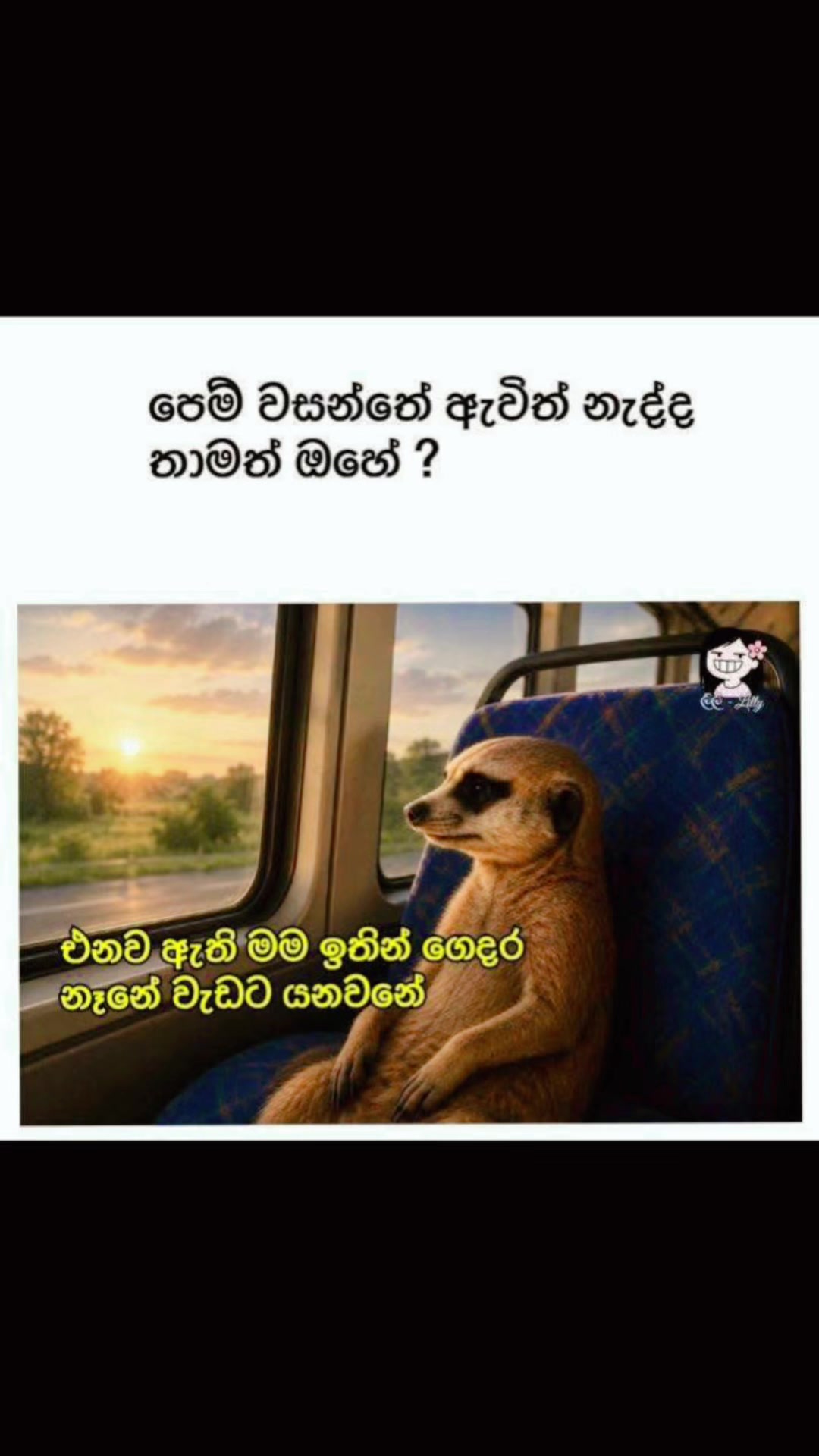 @Nethu