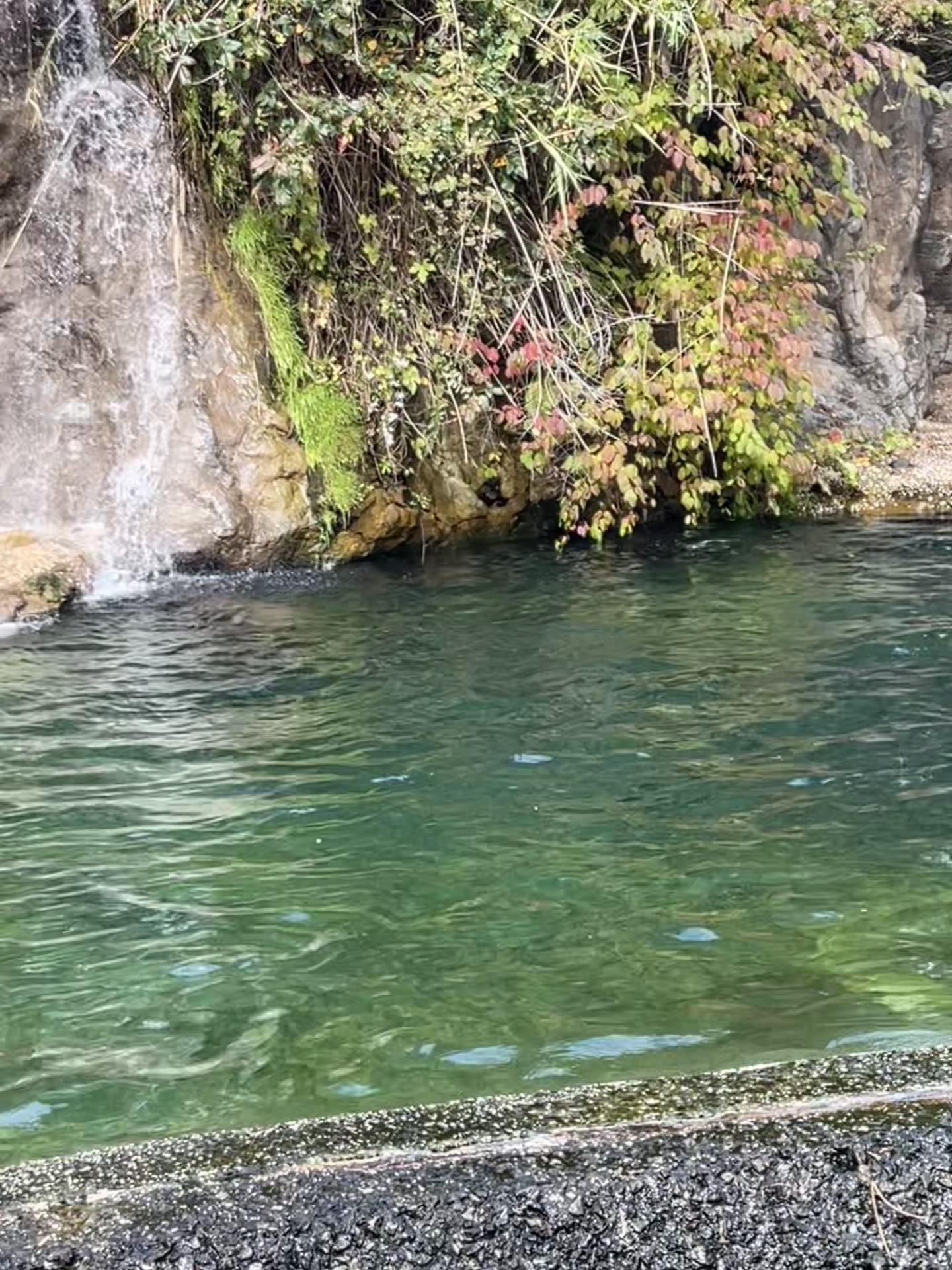 @Anesa Sukhdeo