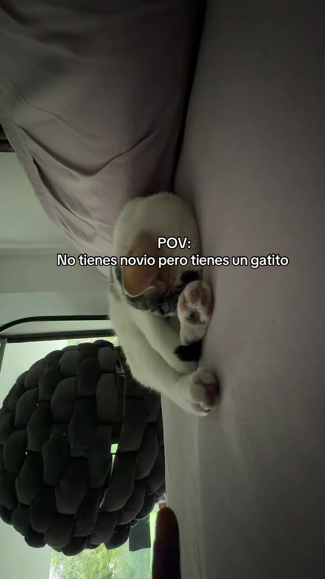 @OJOSPIELCANELA