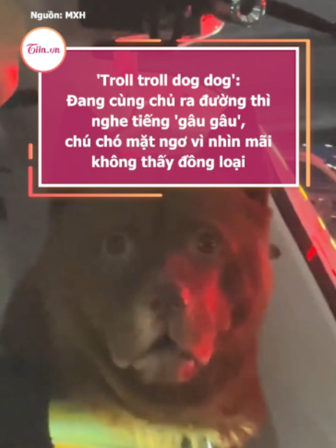 @Tiin.vn