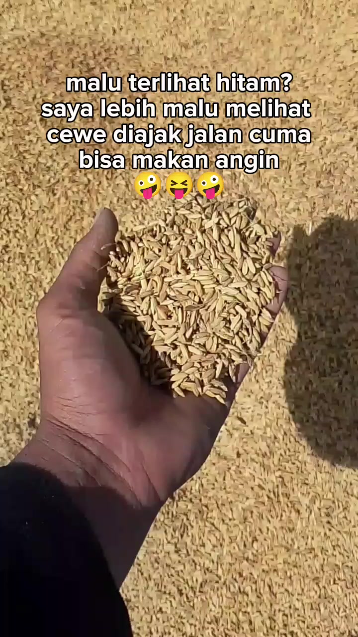 @pemburu Tante 🥷🥷