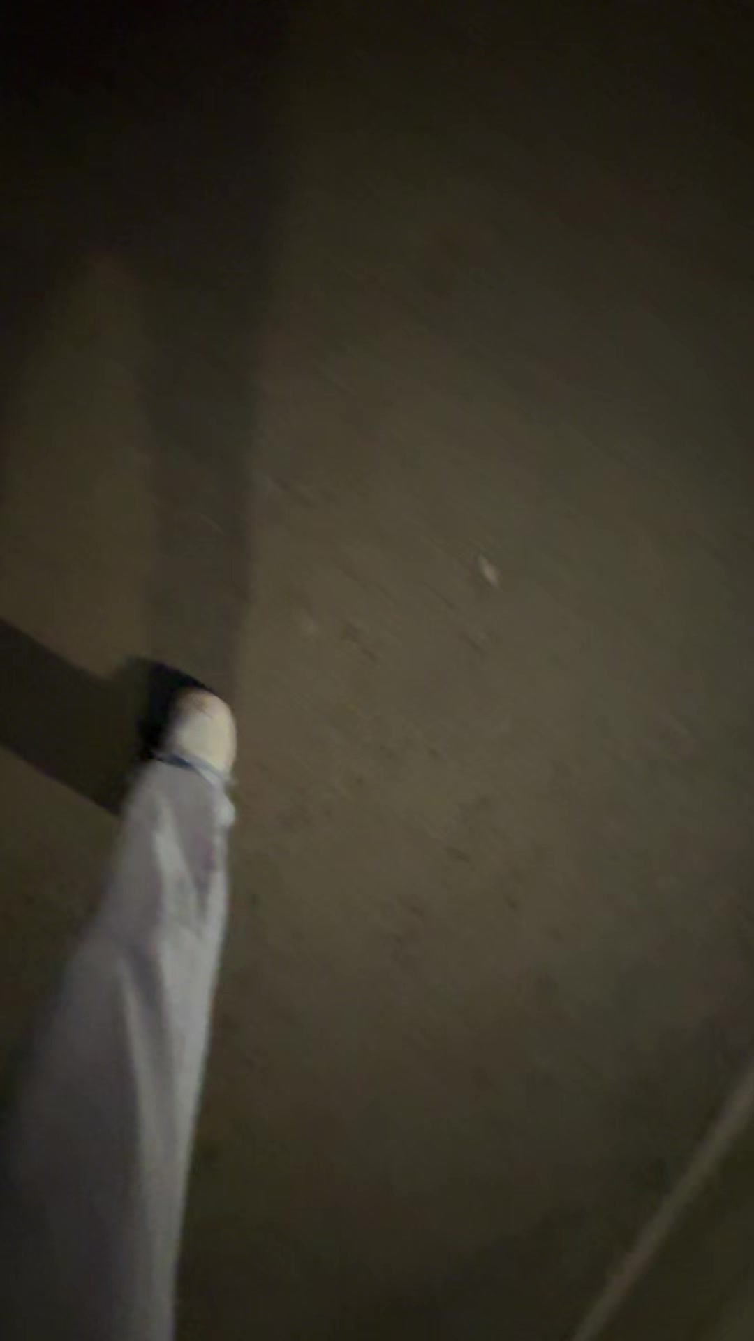 @dariwz
