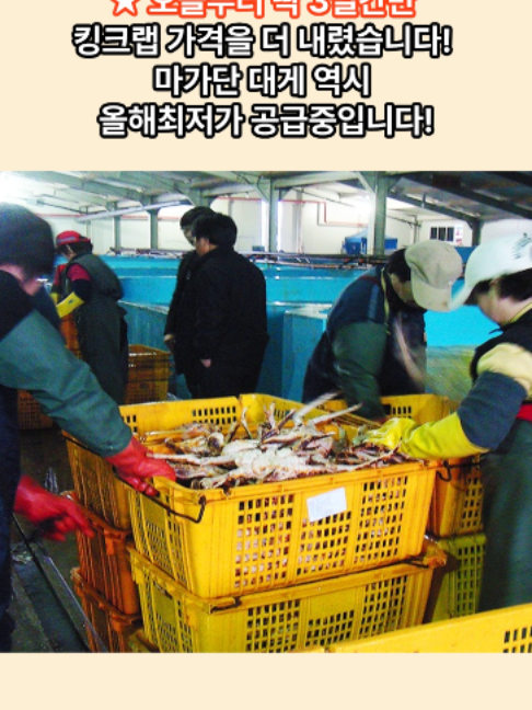 @킹크랩 대게 동해수산유통