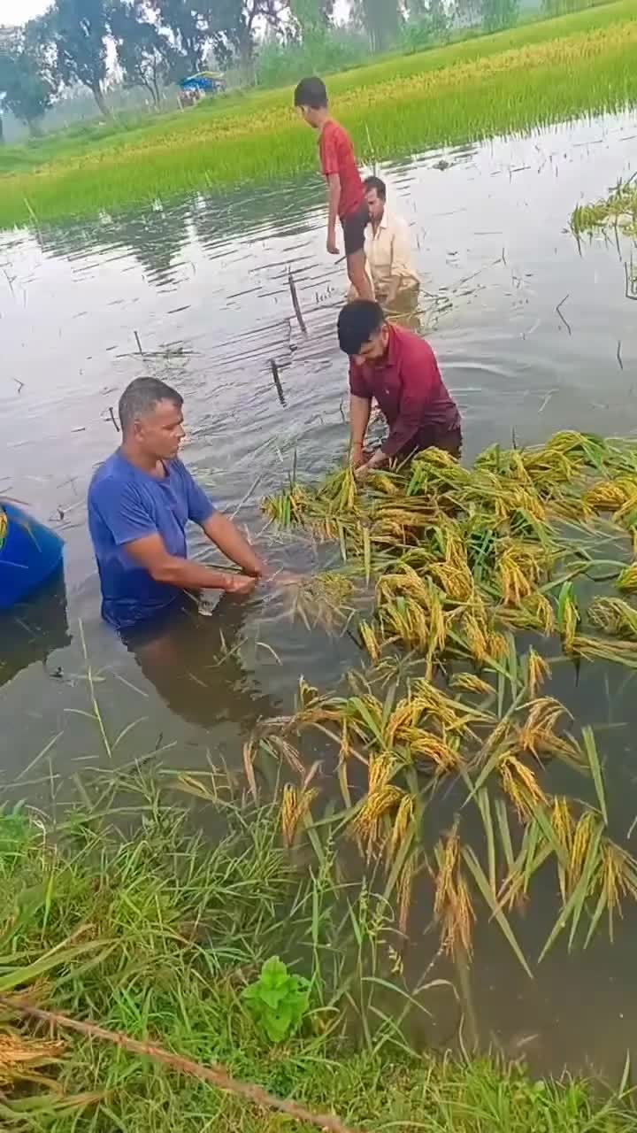 @Aamir Bhujuwa