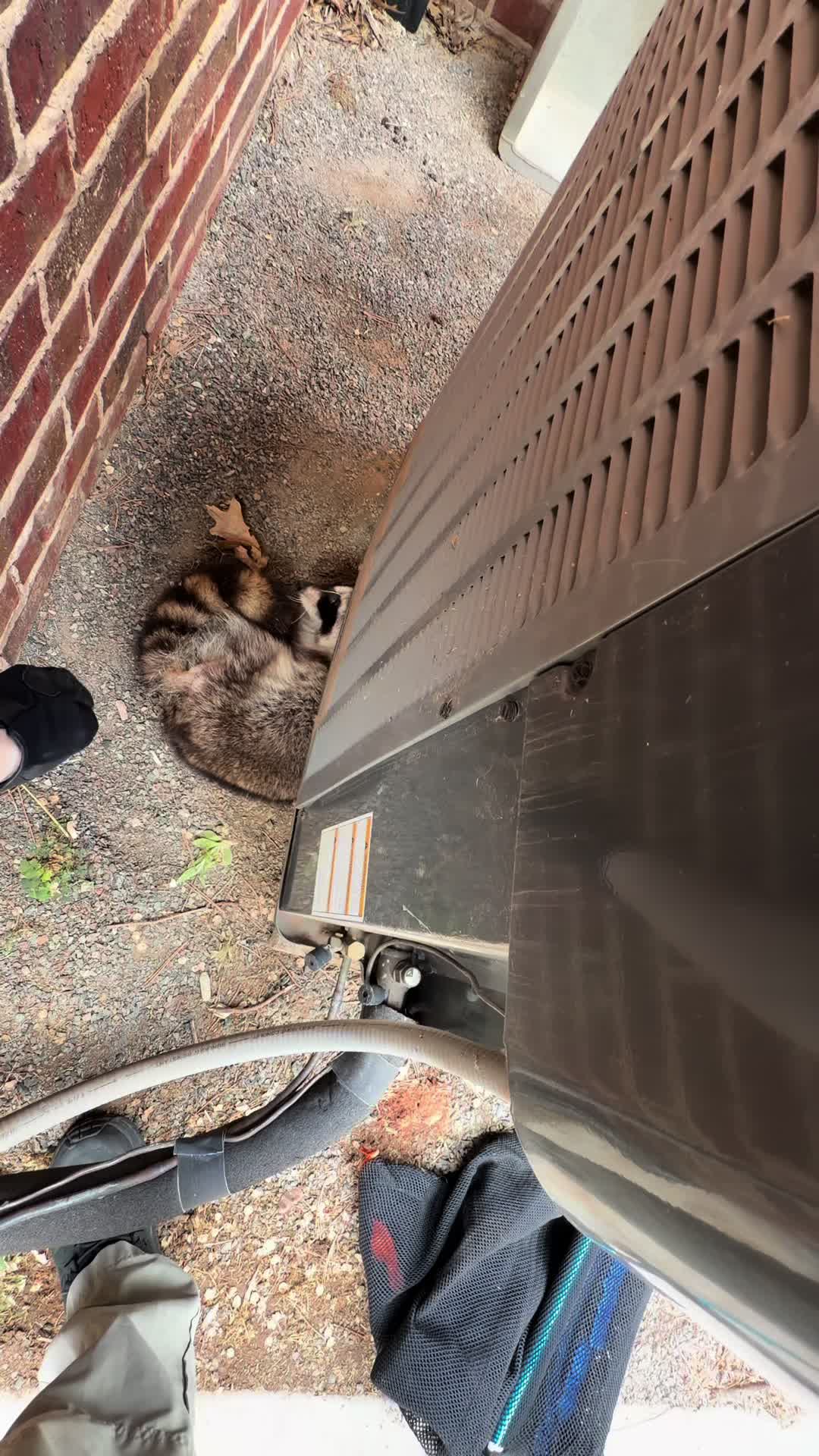 @AnimalWelfareGuy
