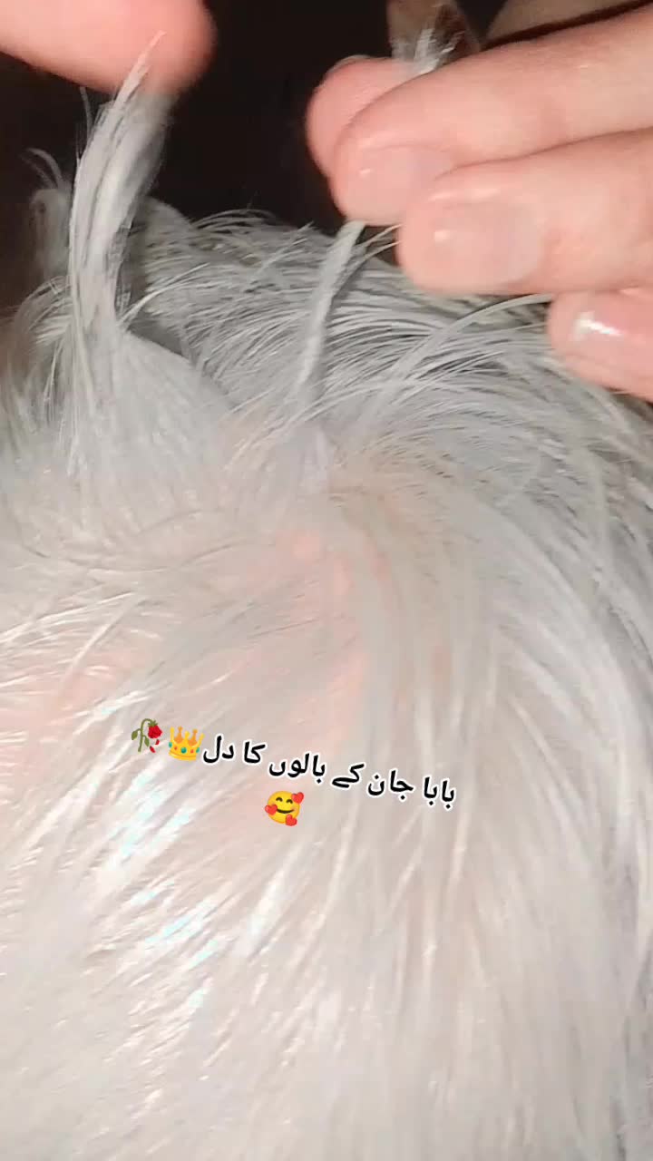 @꧁᭄ꗟ𝓱𝓪𝒽𝒛𝐚𝑑i⌁𝖔𝖋⌁нᥱ&aacute;rƚ ᭄꧂