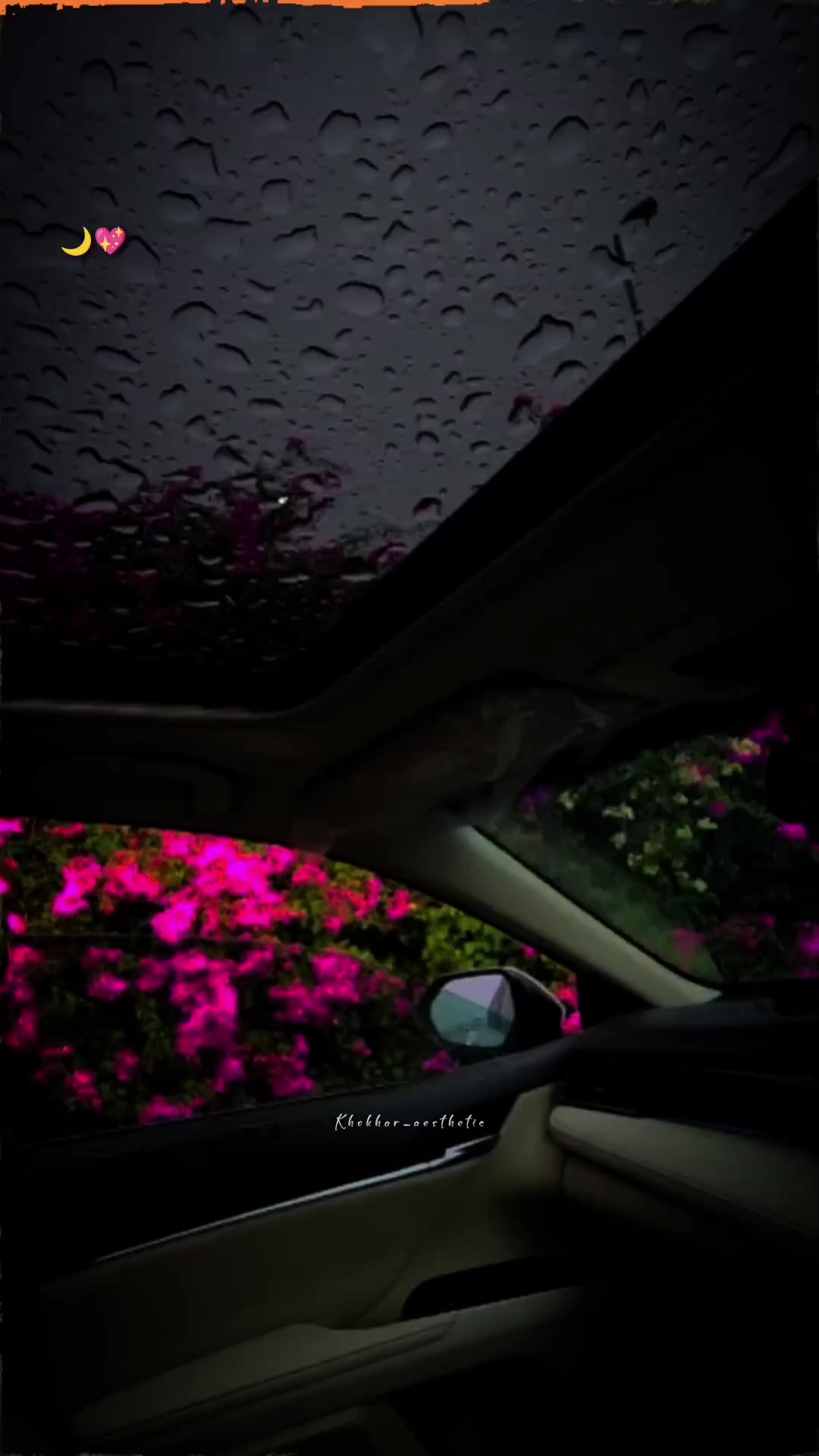 @✦𝑫𝒆𝒂𝒅 ♡ 𝑺𝒐𝒖𝒍𓂃═════💔