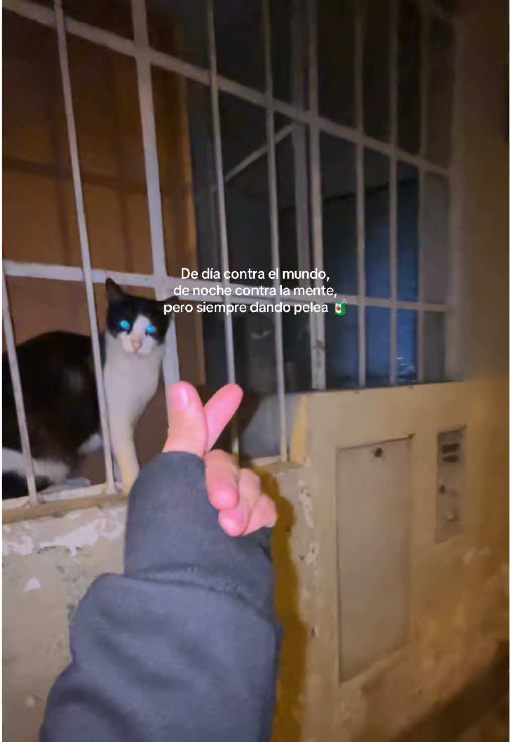 @E S T R E L L A🤍