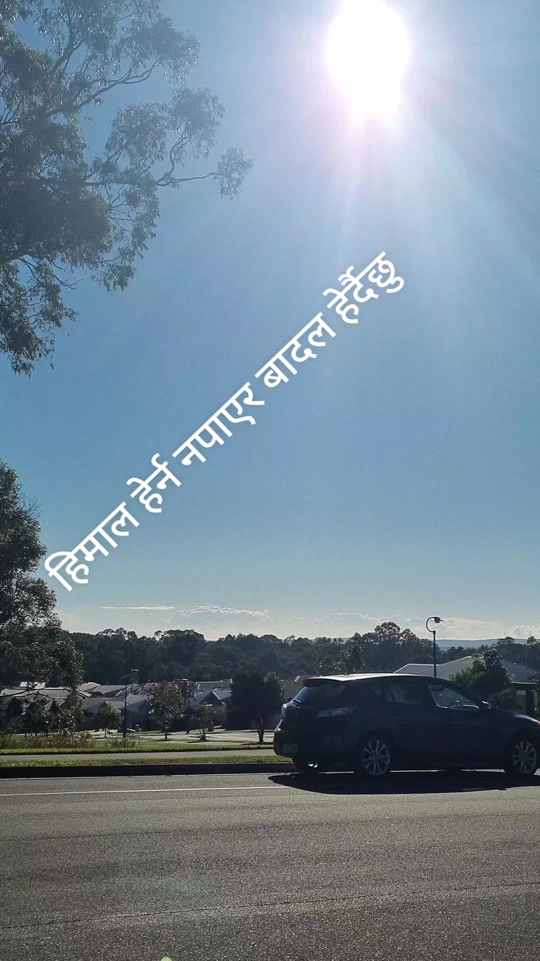 @ROSE