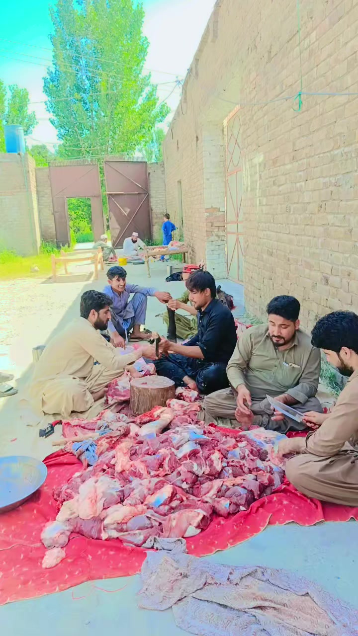 @Shah G ❤️