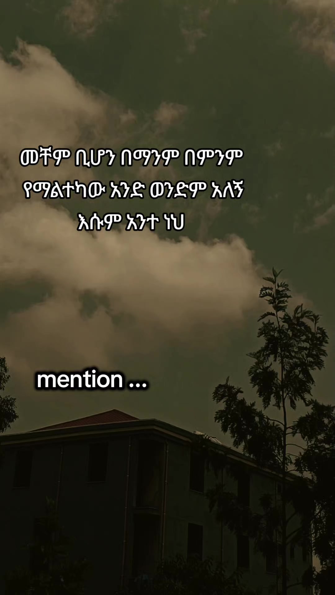 @โจ TEMU Quotes