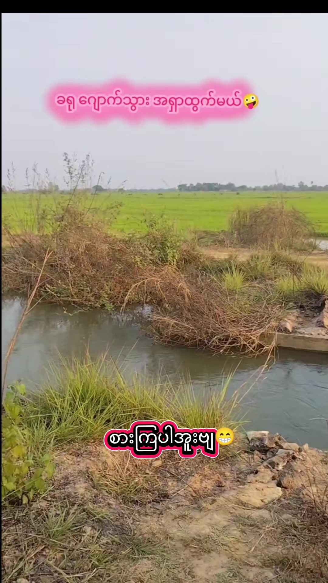 @🇲🇲နောင်လေး🇲🇲 ( TAUNGOO )