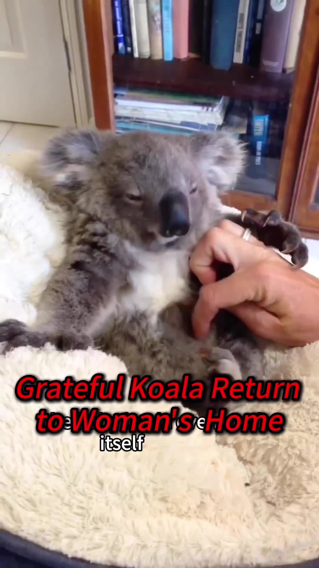 @Kiki_animals22