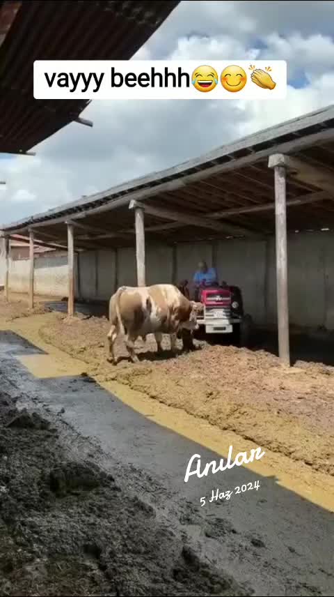 @yılmaz &Ccedil;etinkaya
