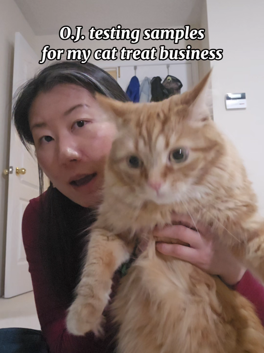 @Chuoru | Cats & Giggles