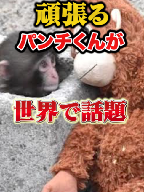 @1分ニュース