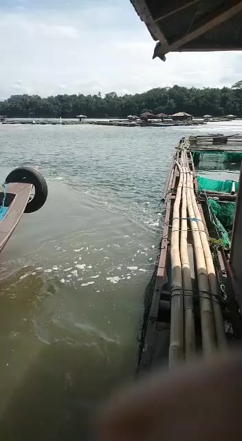 @"HAJI R FISHH" ๐๐