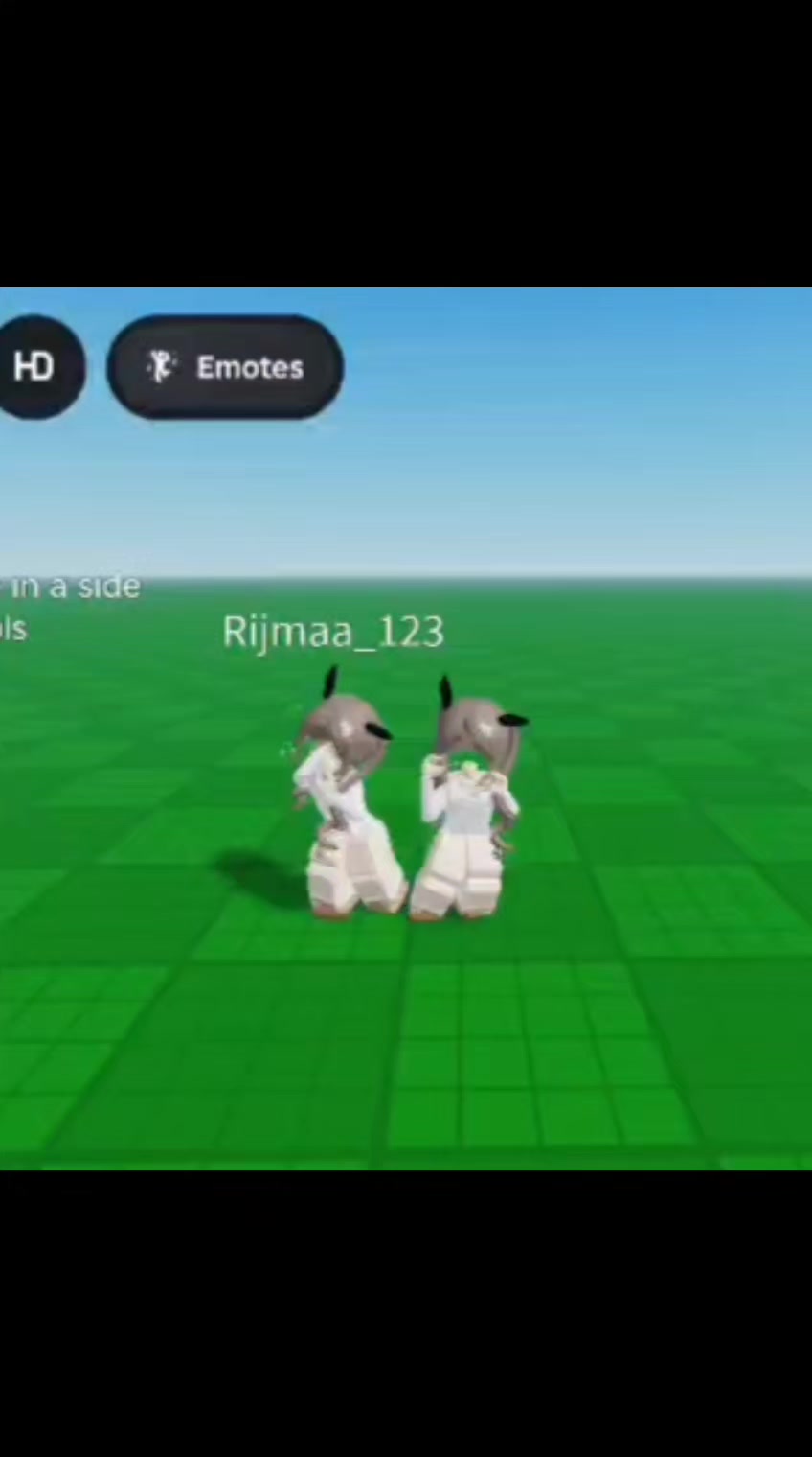 @Roblox_by_R2