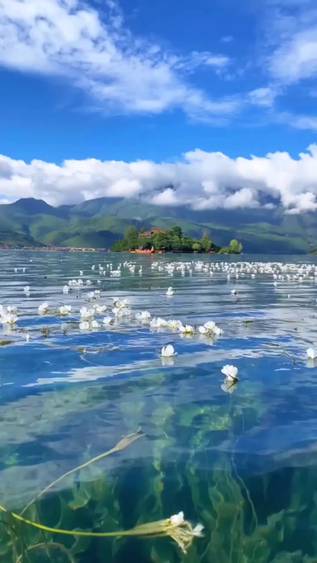 @naturallandscape