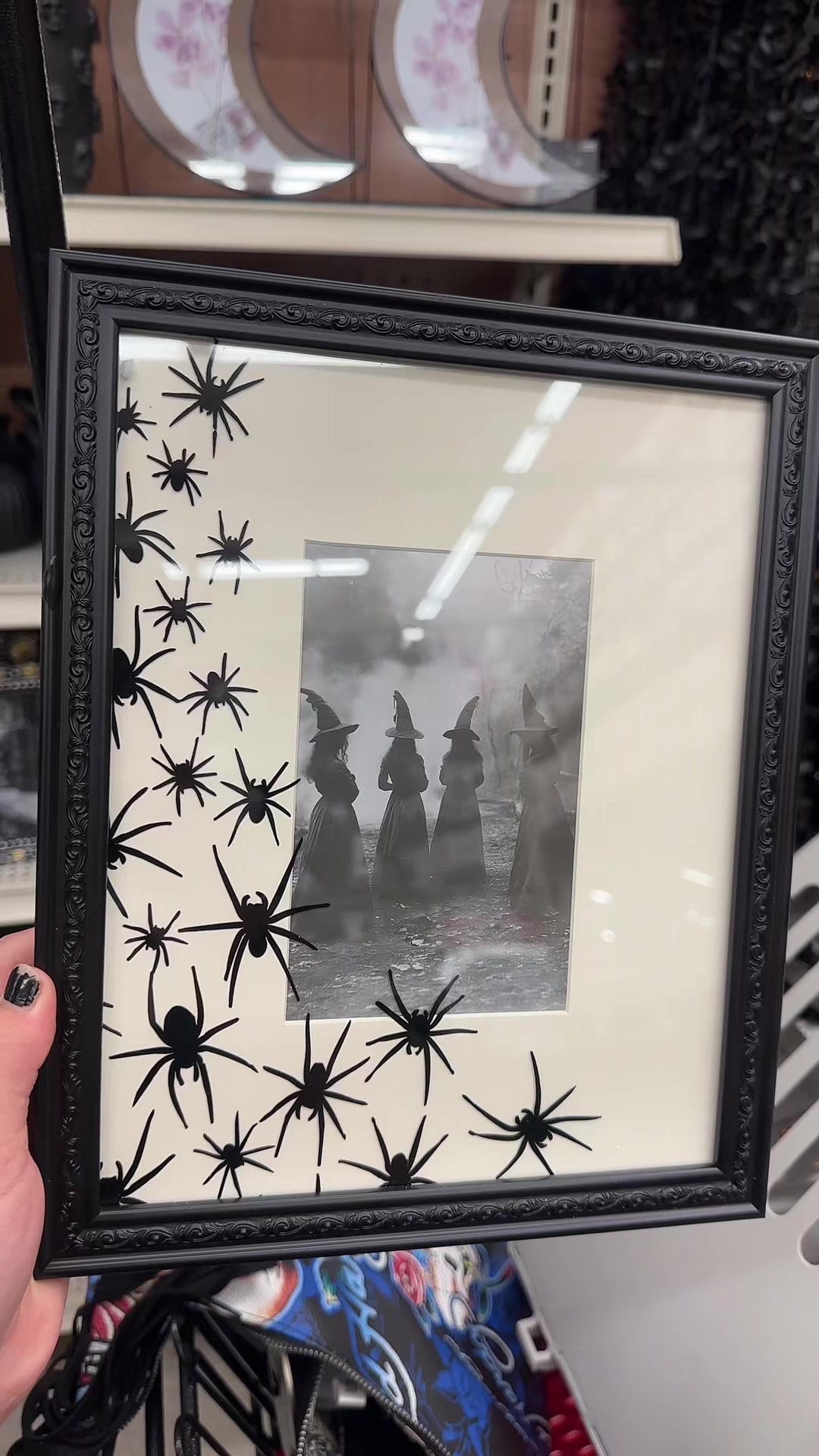 @haven 🦇