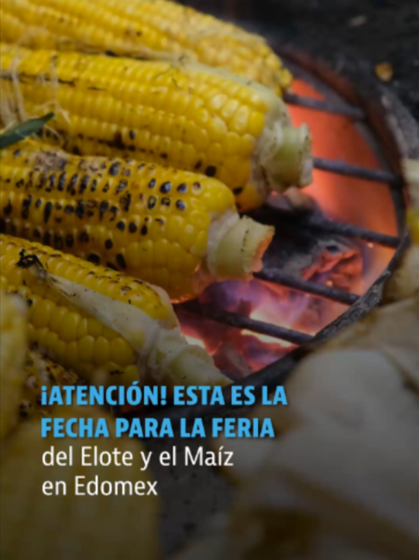 @elheraldodemexico