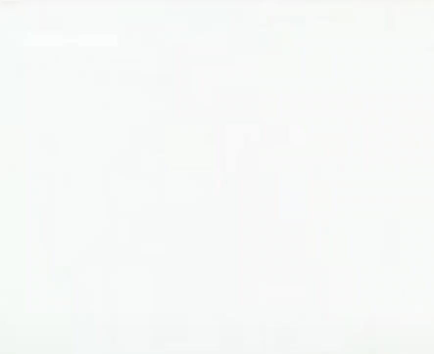@蓮