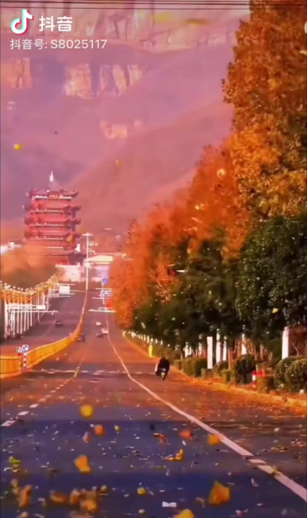 @小馒头