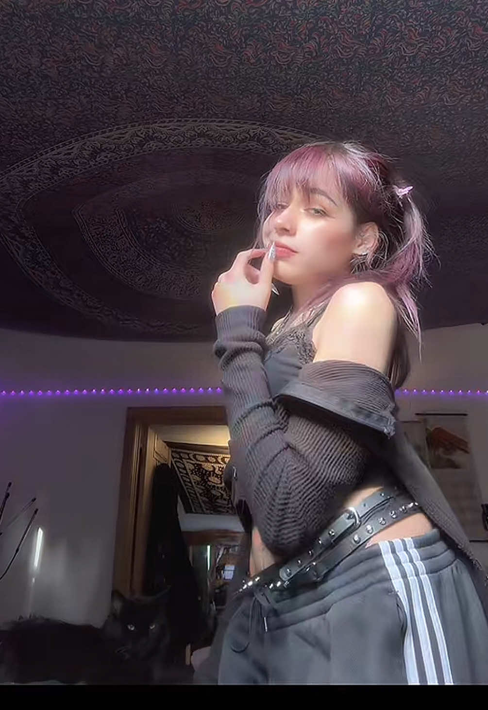 @⋆˙⟡✮ 𝑻𝒊𝒈𝒆𝒓 ✮⟡˙⋆