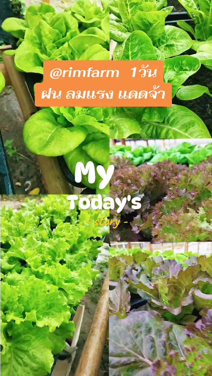 @มูมู่พาวิว