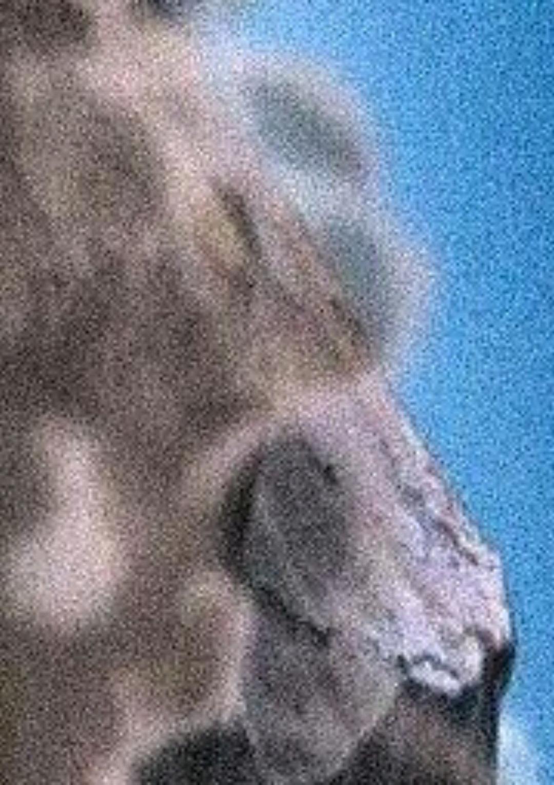 @𝐓𝐡𝐫𝐞𝐞𝟎𝟑.𝐌𝐮𝐬𝐢𝐜