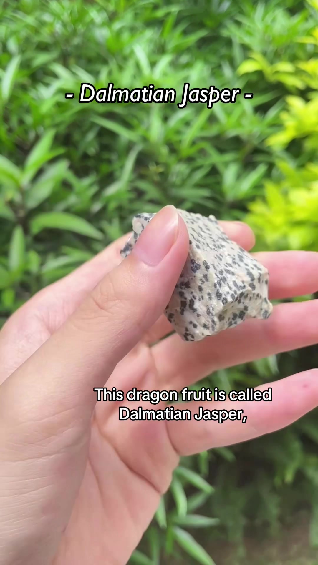 @ORVEL GEMS