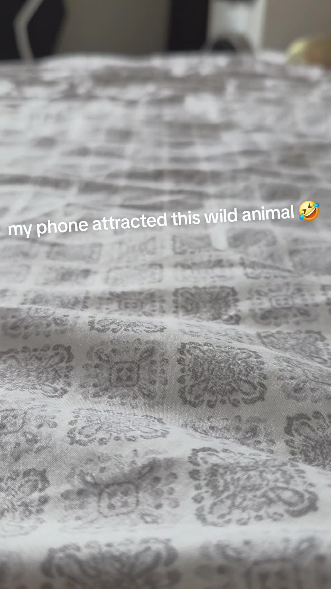 @HASAGI